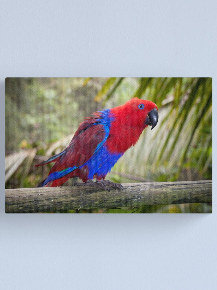 Alternate view of Big Red Canvas Print