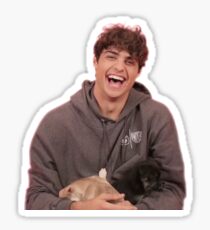 noah centineo and puppies Sticker
