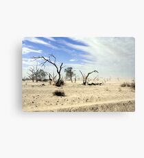 Walkers Canvas Print