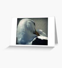 Contortion Greeting Card