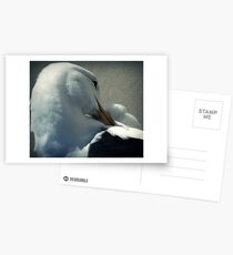 Contortion Postcards
