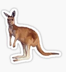 Kangaroo Sticker