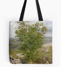 Burren Tree Tote Bag
