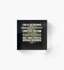 Appeals Reviewer Funny Job Gift Acrylic Block