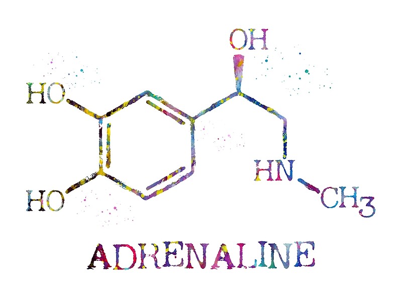 超一流の-NZA Adrenalin ポテンザ アドレナリン••