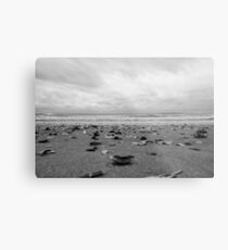 Abstract nature photography of ocean beachside seashells Metal Print