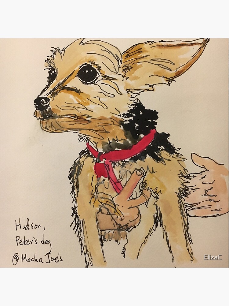 Hudson, Peter's dog by ElizaC