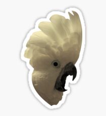 Cockatoo Yell Sticker