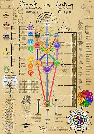 Occult Anatomy Of Man