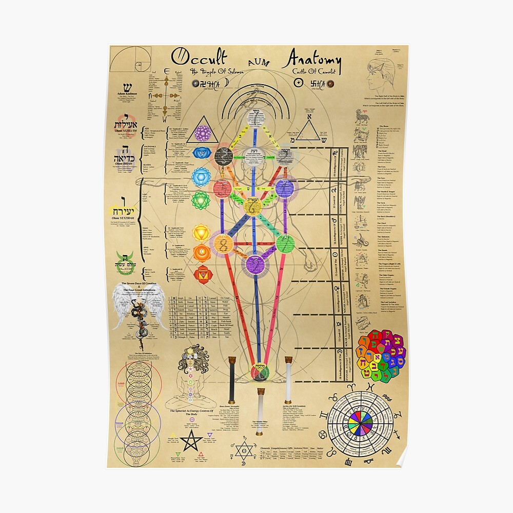 Occult Anatomy Poster