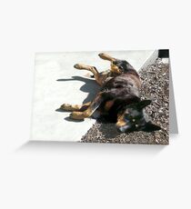 Just a Little Nap... Greeting Card