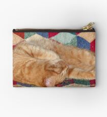 Nickerchen machende Katze Studio Clutch