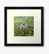 Taking Flight Framed Print