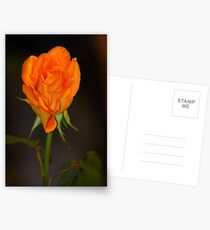 Proud - Featured! Postcards