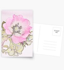 Brier rose Postcards