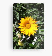 YELLOWGREEN Metal Print