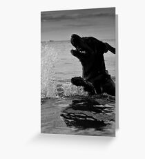 Just swimming Greeting Card
