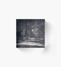 Dandenongs Acrylic Block