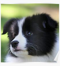 New Baby Trinitee Poster