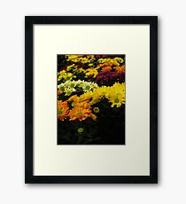 flowers Framed Print