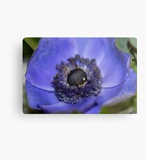 Hello Beauty II Metal Print
