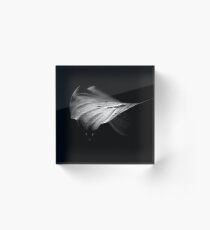 Leaf Acrylic Block
