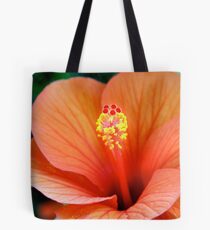 Bolsa de tela Red Hibiscus Clutch