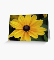 Blackeyed Susan Greeting Card
