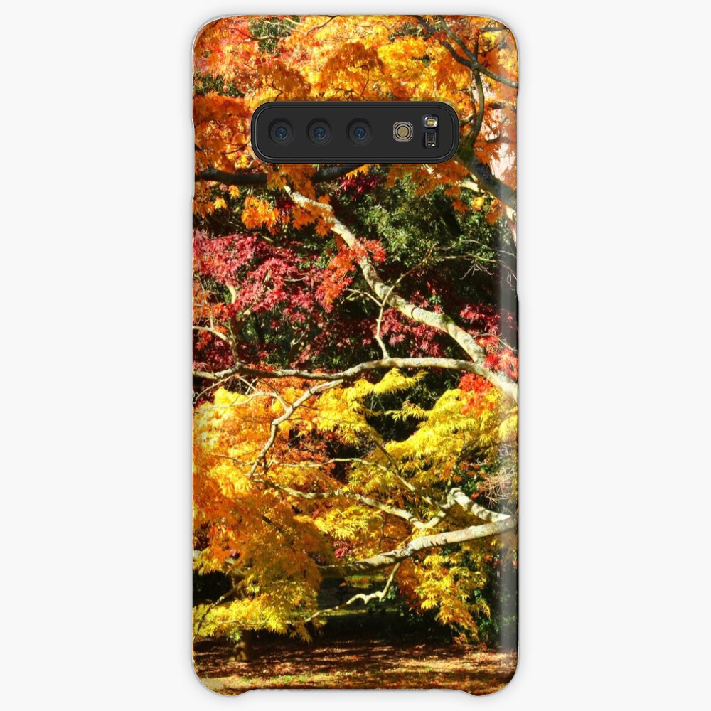 Autumn Acer Glade Case & Skin for Samsung Galaxy