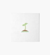 Plant Based Art Board