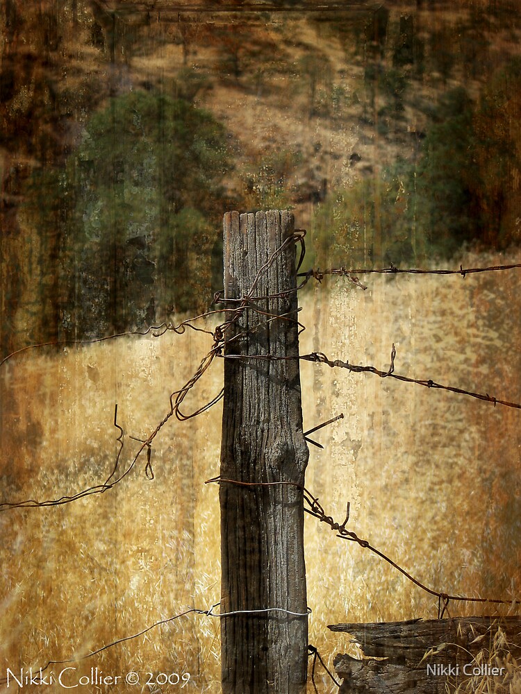 Old Fence Post By Nikki Collier Redbubble   Flat,1000x1000,075,f 