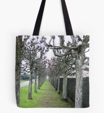 Tree Avenue Tote Bag