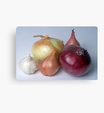 A Family Allium Canvas Print