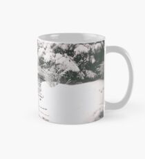 Taza Central Park Winter Path