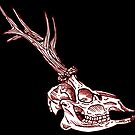 « cerf gravé » par Galbrin