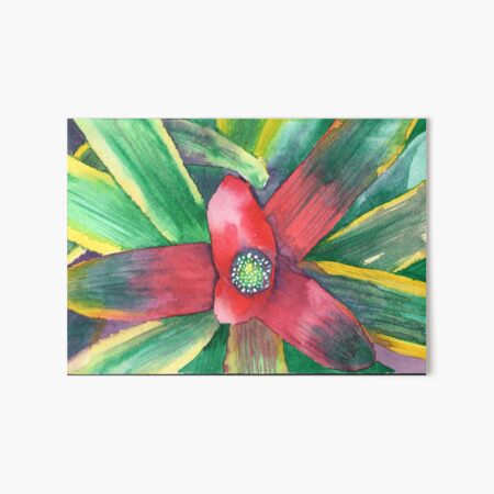Guzmania Art Board Print