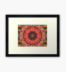 Flower Garden Framed Print