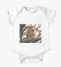 Squirrel Retreat One Piece - Short Sleeve