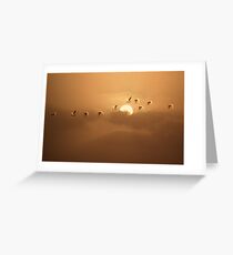 Over the Top Greeting Card