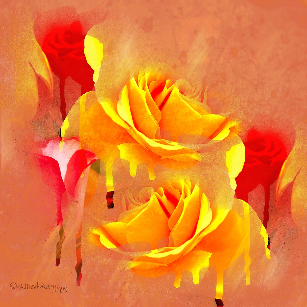 "Painted Roses Abstract" by WiredMarys Redbubble