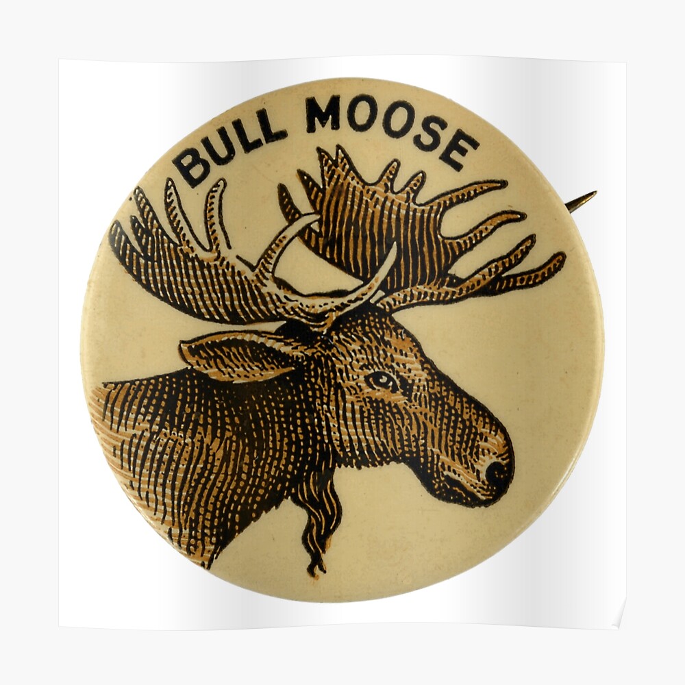 teddy roosevelt's bull moose party was an example of a