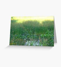 Pond Greeting Card