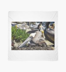 Pelican I'm Watching You Scarf
