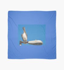 Pelican On The Lamp Scarf