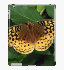 Orange and Green iPad Case/Skin