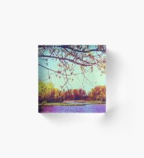 Branches Overhead Acrylic Block
