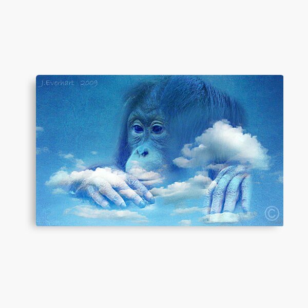 Daydreaming Canvas Print