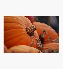 Pumpkin Time Photographic Print