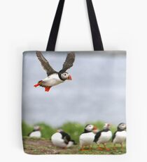 Puffin 02 Tote Bag