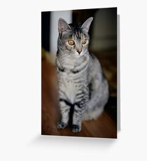 Mew Greeting Card